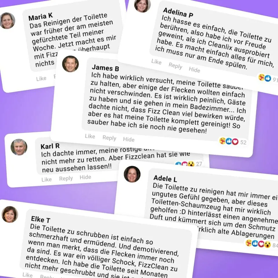 imgi_149_SGVyb18xNF9SZXZpZXdzX3RvaWxldF9mb2FtX0ZpenpDbGVhbi1ERS5qcGc-h_960.webp